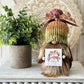 Cozy Autumn Gnome with Fall Sign - Seasonal Tiered Tray Centerpiece