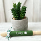 St Patricks rolling pins, St Paddys day decor, Tiered tray decor, Table top display